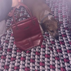 Etienne Aigner Saddle/ Satchel Bag
